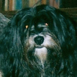 barby_portret.gif(20 kb)
